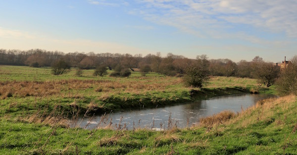 Pond at Warden Abbey Vineyard