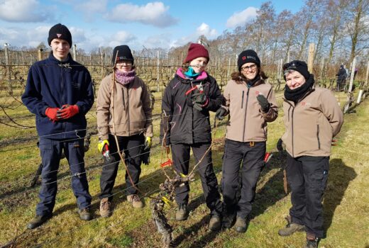 English Heritage Staff at Warden Abbey Vineyard